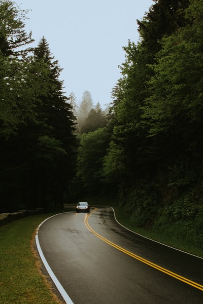 穿过树间道路的汽车